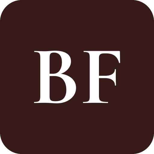Big Frame Camera logo